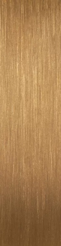 TS